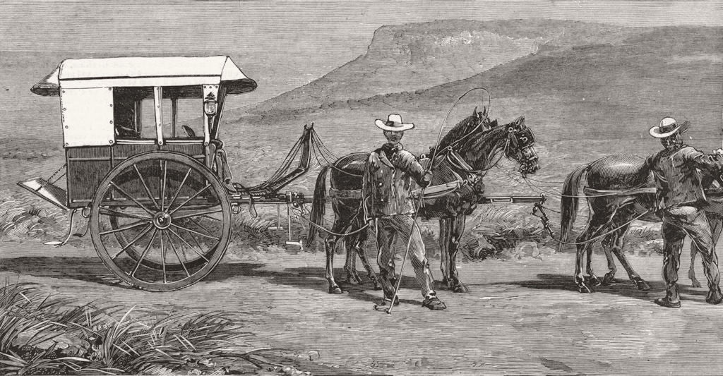 SOUTH AFRICA. Cape cart, Princess of Wales gift 1881 old antique print picture